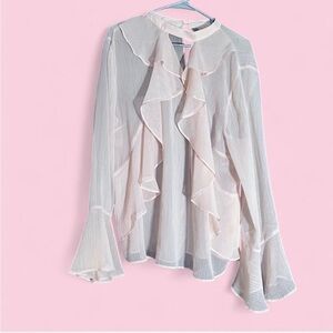 Belle & Sky light pink shear Blouse